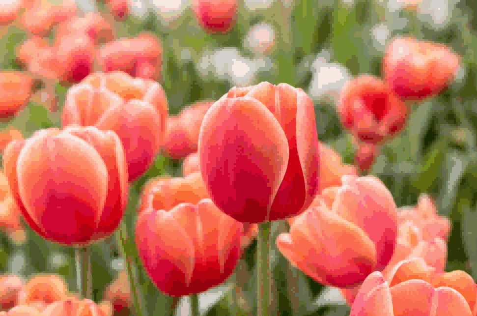 海关数据,金年会诚信至上海关数据,荷兰海关数据