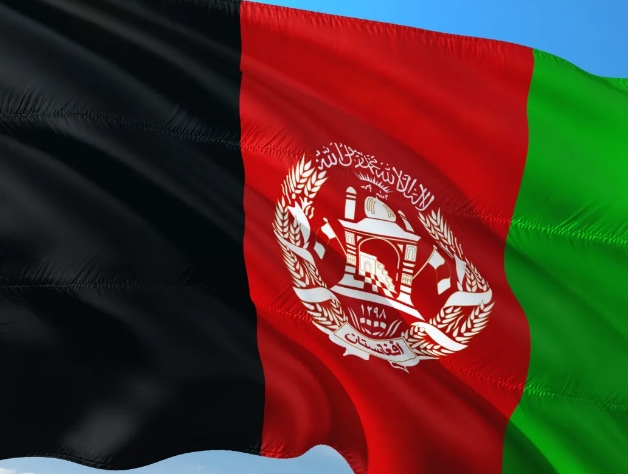 阿富汗海关数据查询平台（附免费试用查询）